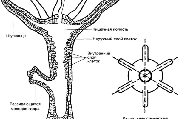 Кракен тг маркетплейс